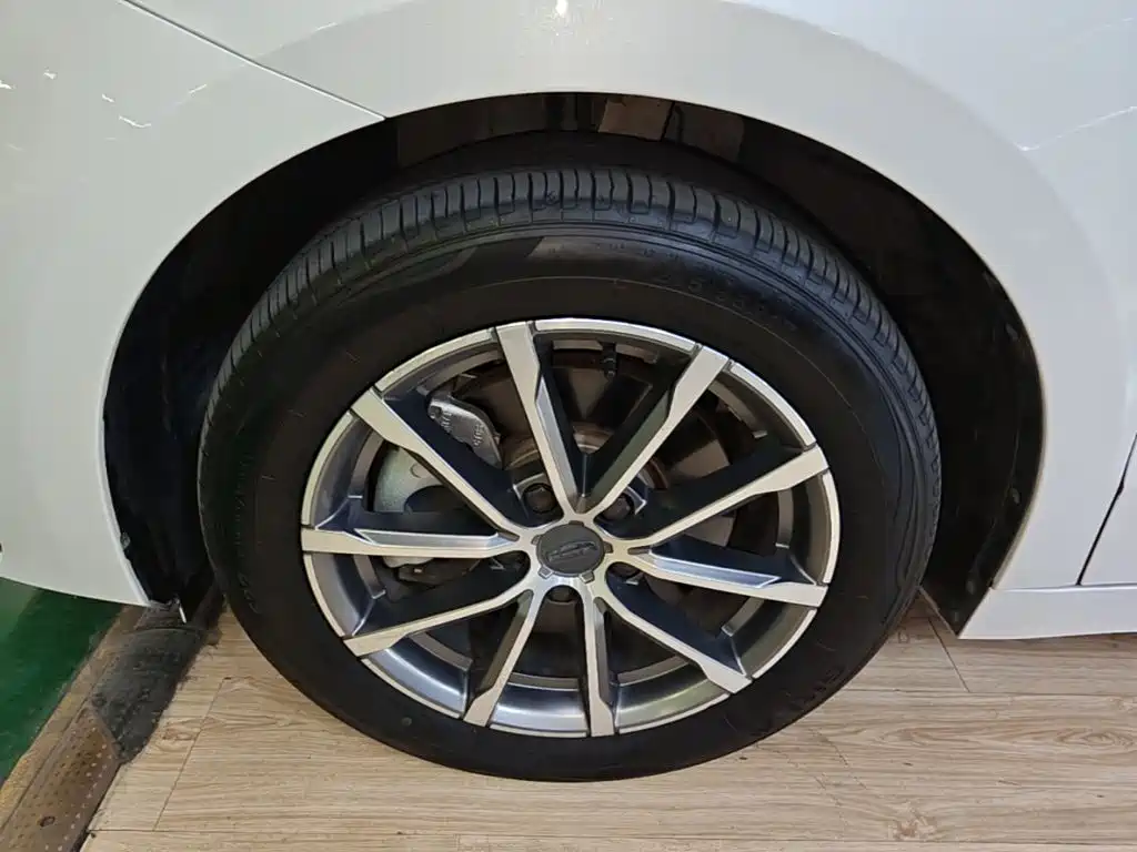 Geely Borui 2021 2021 1.8T Pilot Edition+