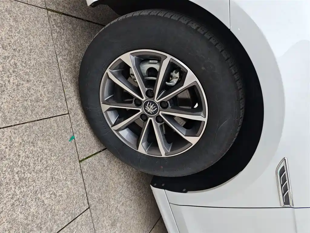 BYD Qin PLUS 2024 Glory Edition DM-i 55KM Leading фото 25