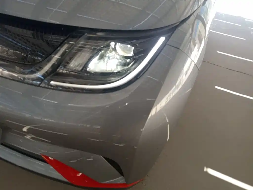 BYD Dolphin 2021 Model 405km Fashion Edition фото 24