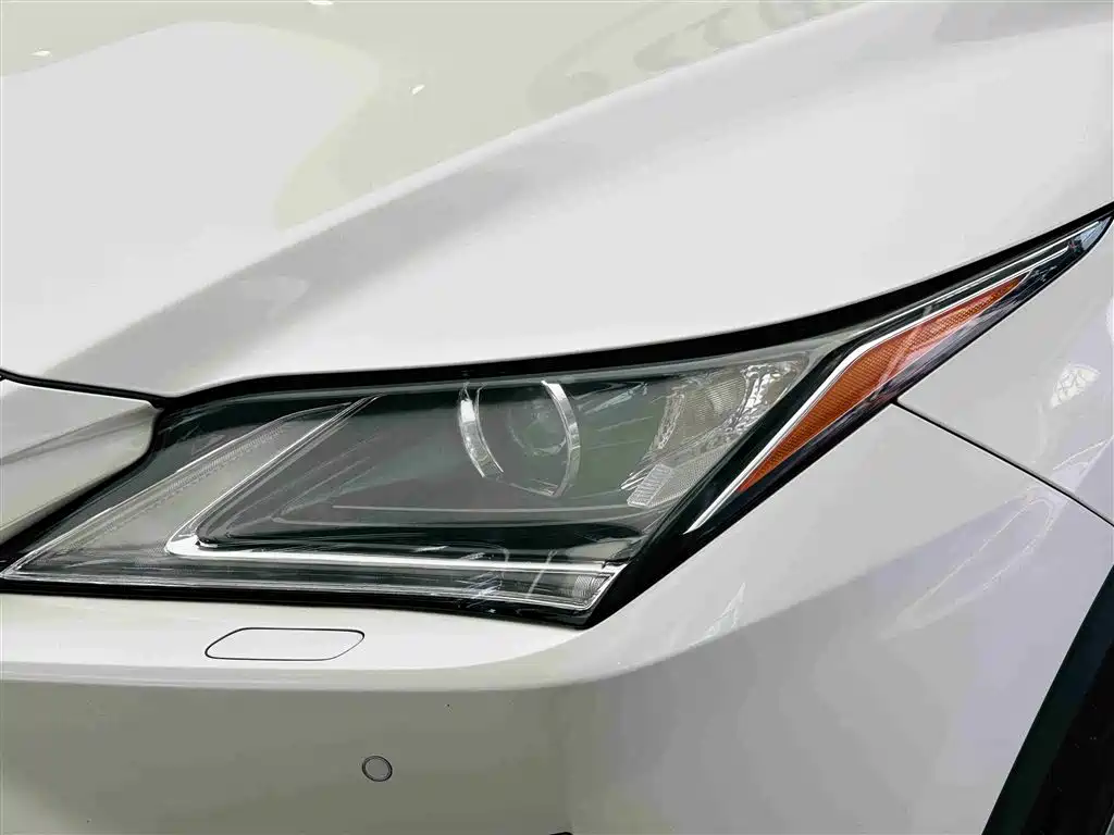 Lexus RX 2016 300 2WD Comfort Edition China V фото 11