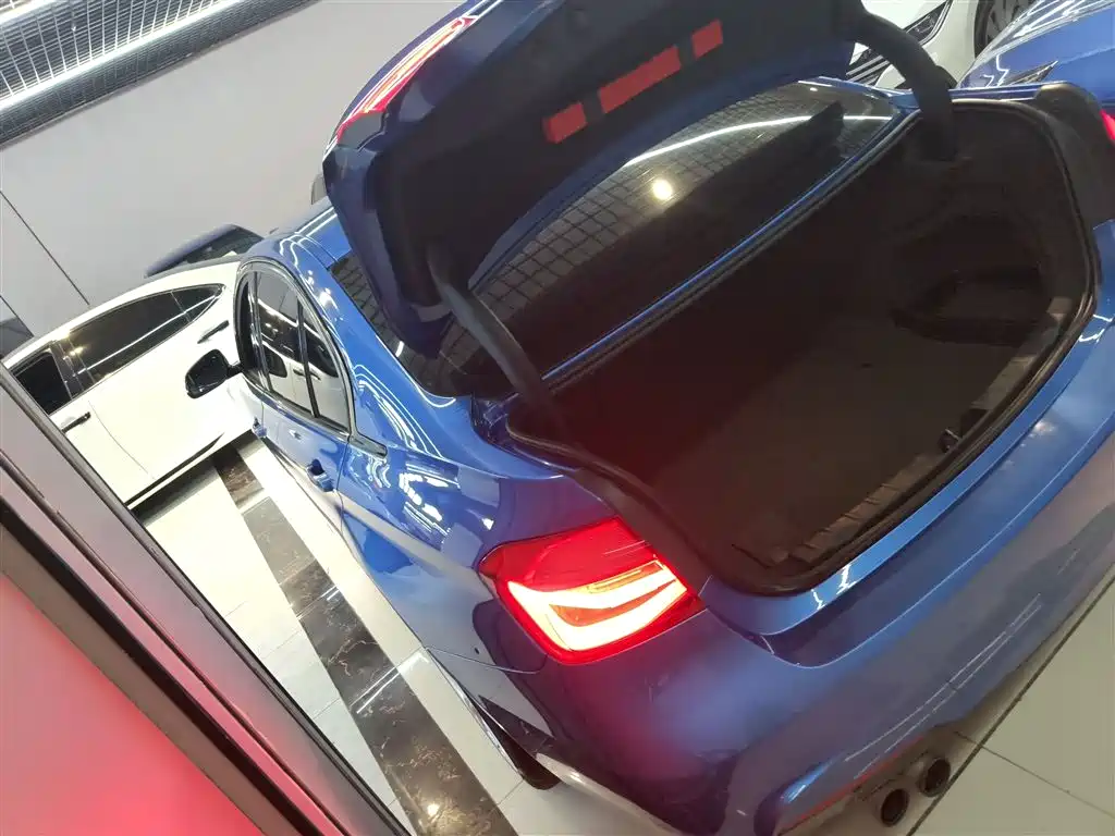 BMW 3 Series 2017 320Li M Sport фото 23