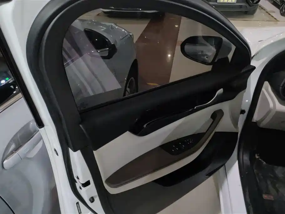 BYD Qin PLUS 2023 Champion Edition DM-i 55KM Leading фото 7