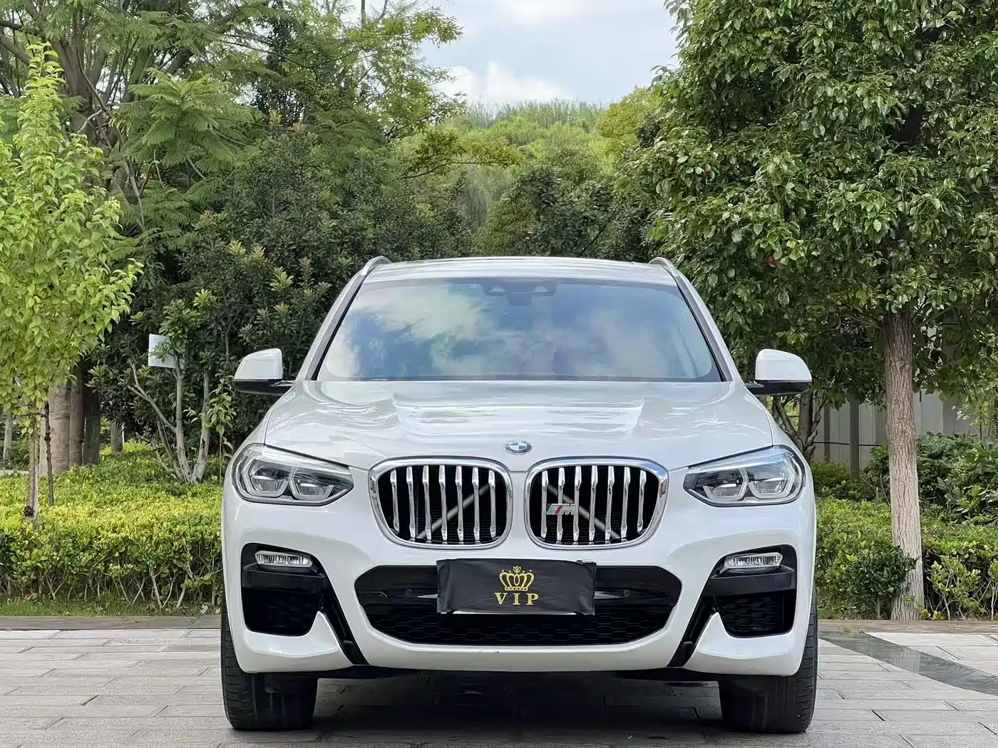 BMW X3 2018 2018 xDrive25i M Sport Package China V