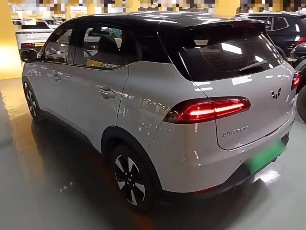 Wuling Motors Wuling Binguo PLUS 2024 2024 Model 330km 5-Seater