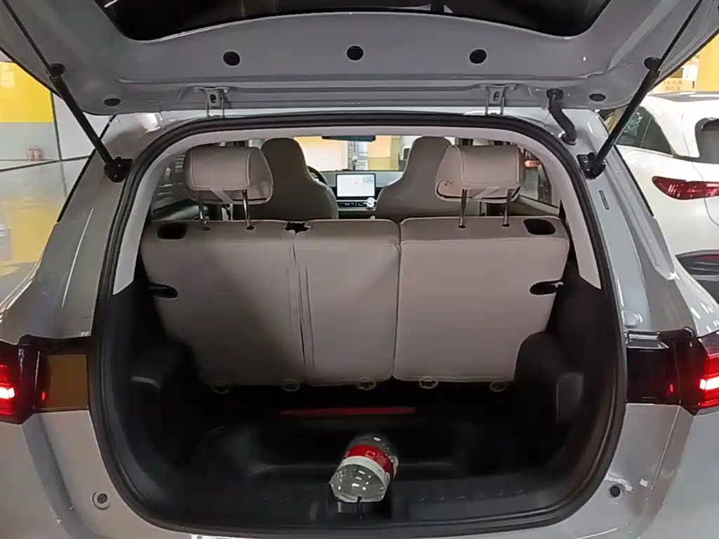 Wuling Motors Wuling Binguo PLUS 2024 2024 Model 330km 5-Seater