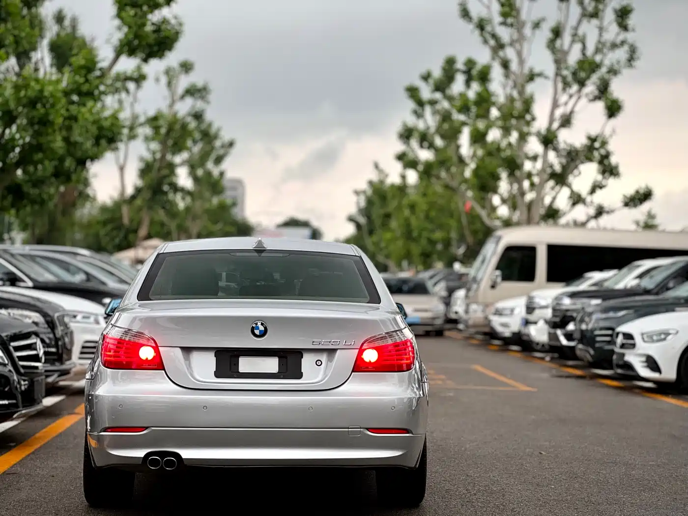 BMW 5 Series 2008 523Li Elegance фото 7