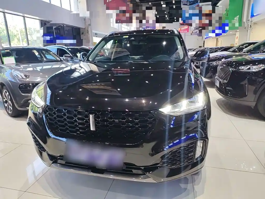 WEY VV6 2019 2018 2.0T 2WD Super Luxury China V