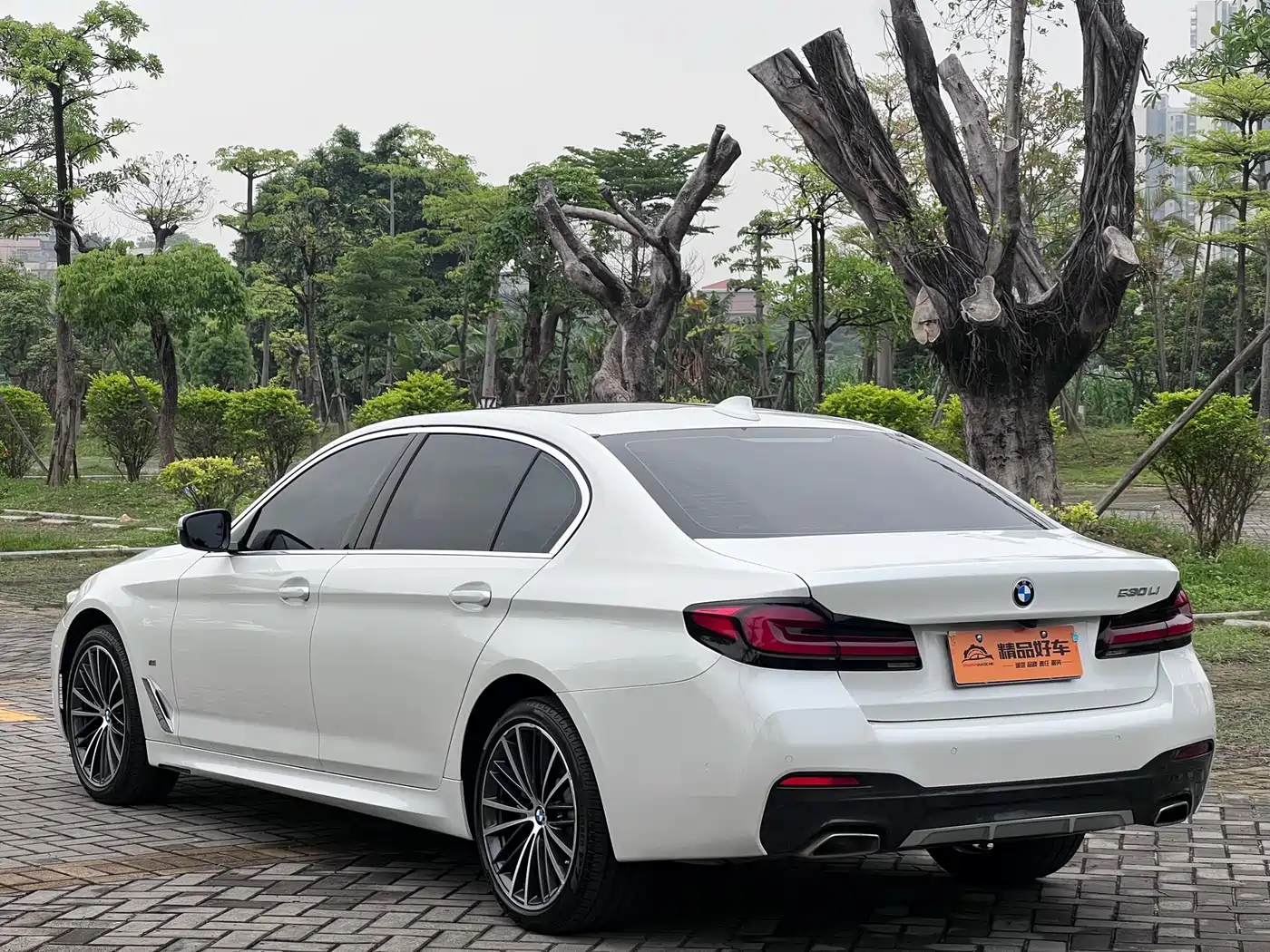 BMW 5 Series 2022 530Li Leading M Sport Package фото 13