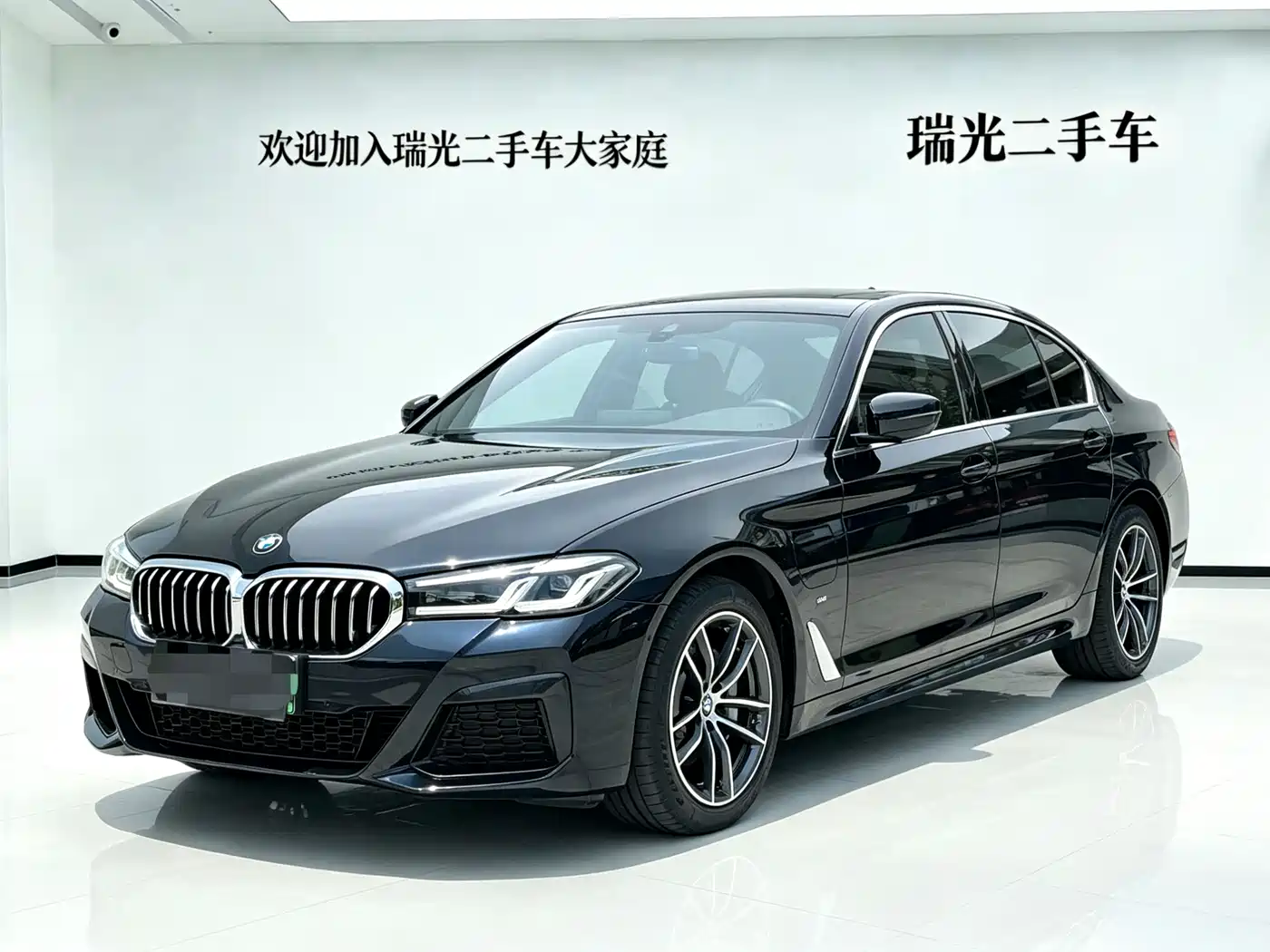 BMW 5 SERIES NEW ENERGY