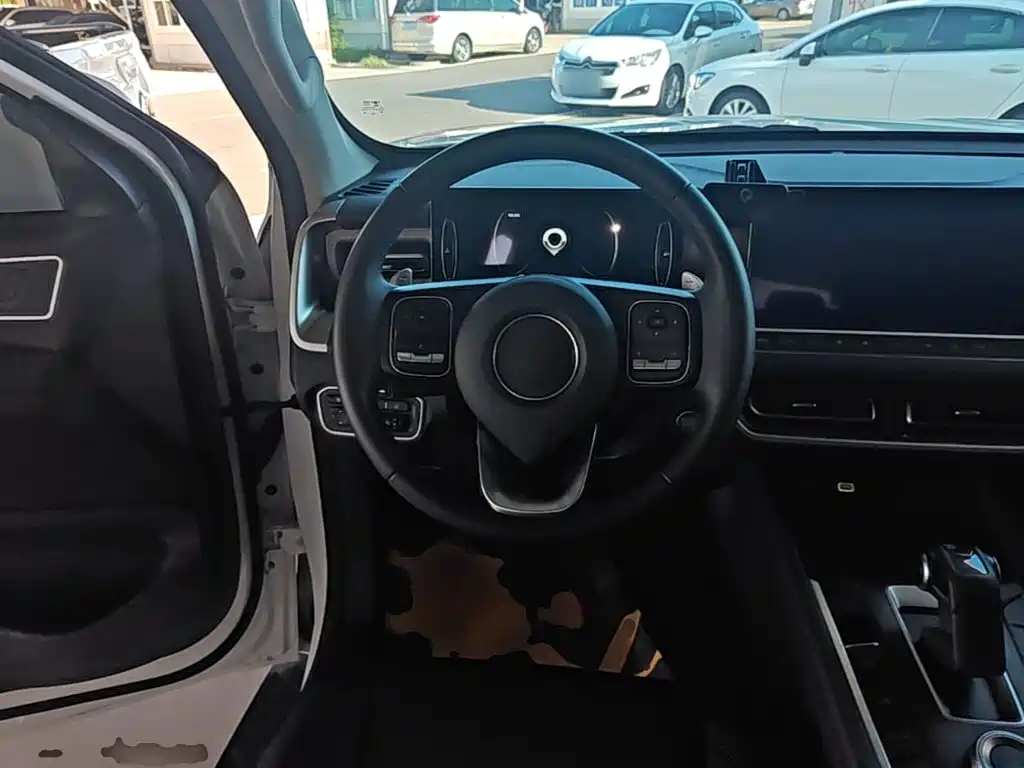 Great Wall Pao 2025 2024 Model 2.4T Passenger Version Automatic Diesel 2WD Comfort