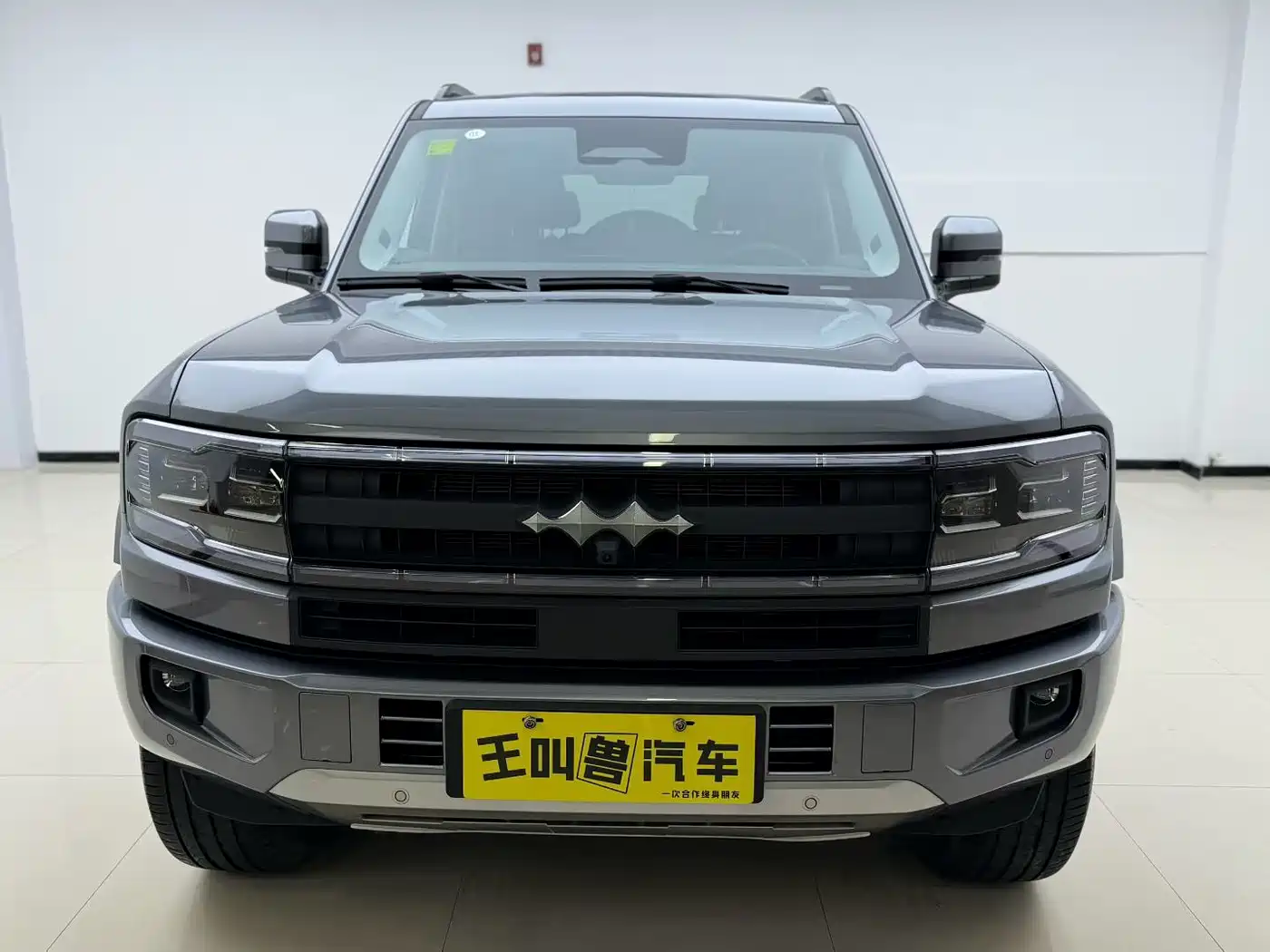 FANG CHENG BAO LEOPARD 5