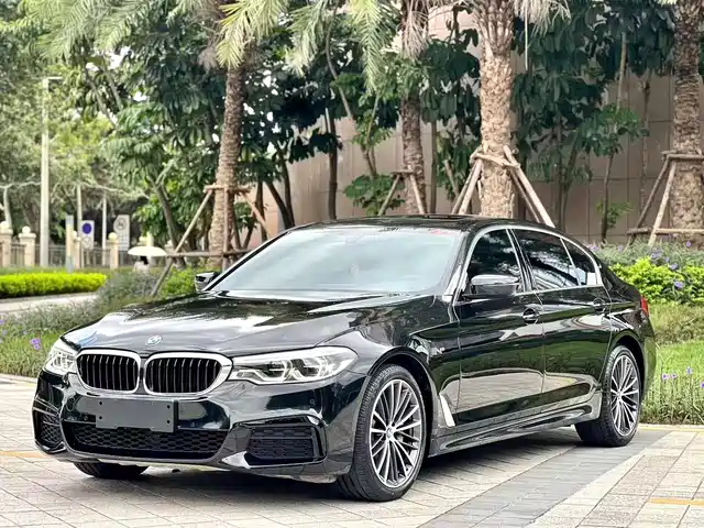 BMW 5 SERIES