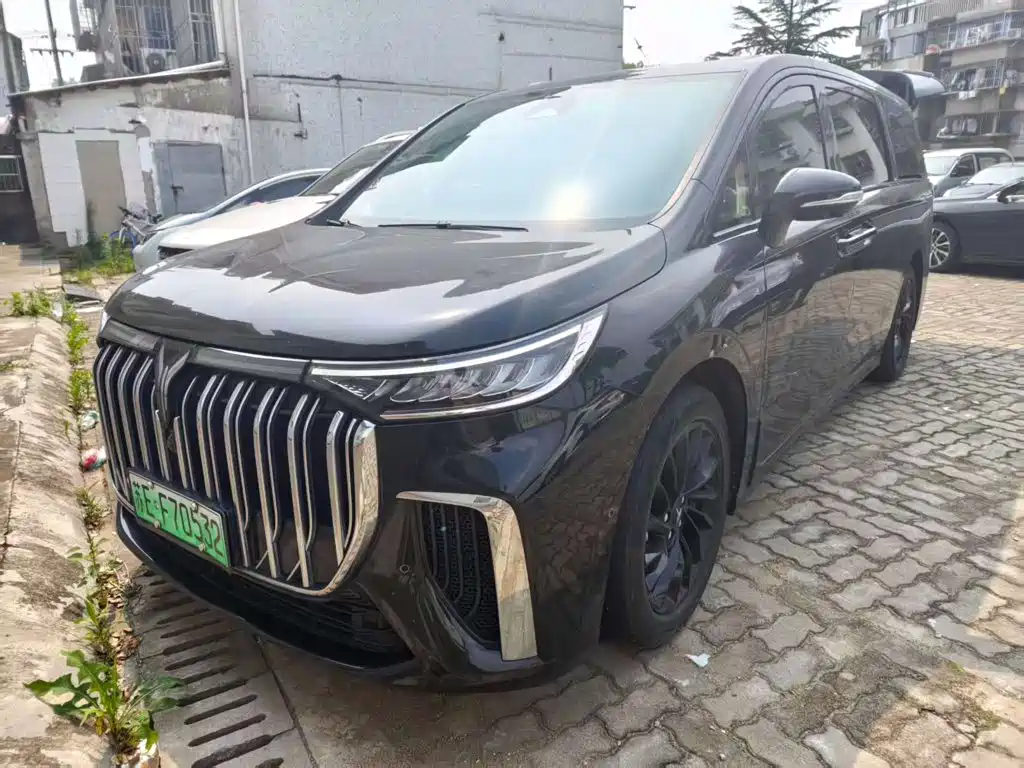  Voyah Auto Voyah Dreamer 2024 PHEV Extended Range Premium Edition