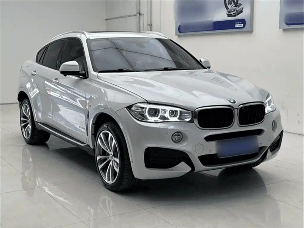 BMW X6 2019 xDrive28i M Sport Package фото 17