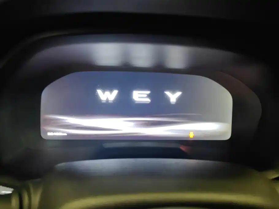 WEY P8 2018 2018 2.0T Flagship Model