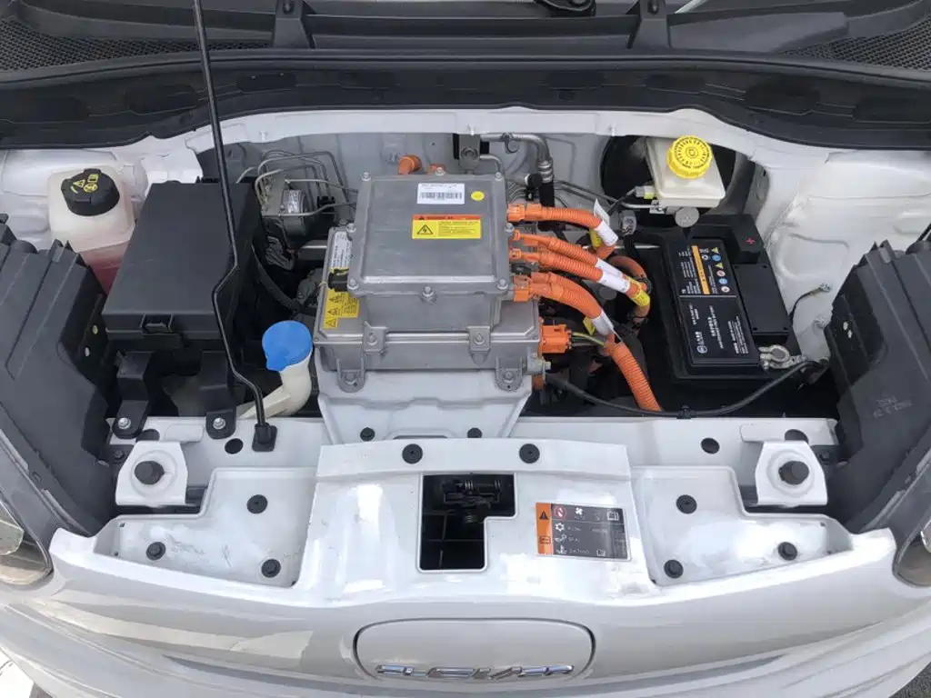 Roewe Clever 2023 2022 311km Vitality Bobo Edition