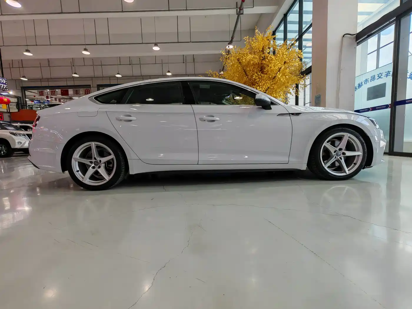 Audi A5 (Import) 2019 Sportback 40 TFSI Fashion фото 26