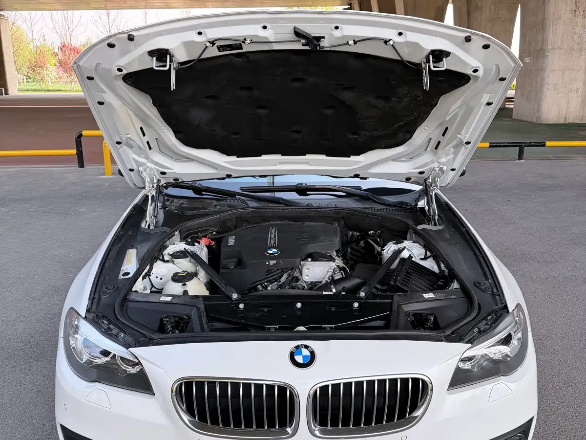 BMW 5 Series 2017 520Li Classic Edition фото 20