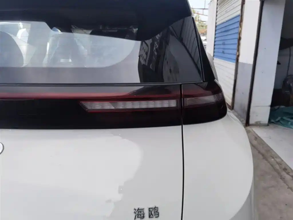 BYD Seagull 2025 Smart Drive Edition 305km Vitality Version фото 8