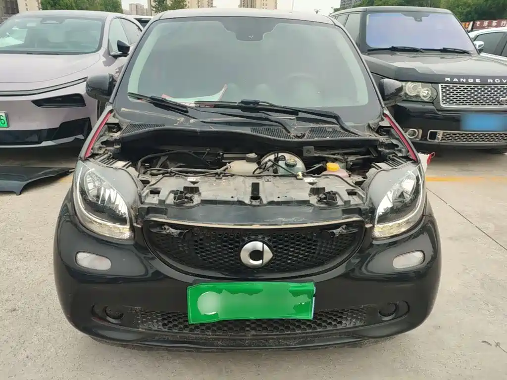 Фото 20 - smart forfour