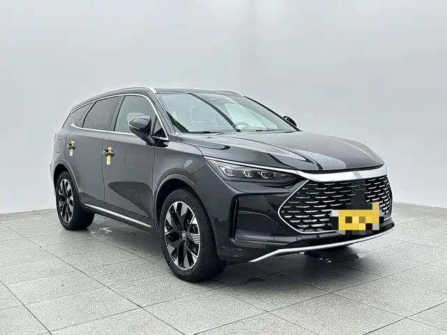 BYD Tang New Energy 2024 2024 Model DM-i Glory Edition 112KM Flagship Type