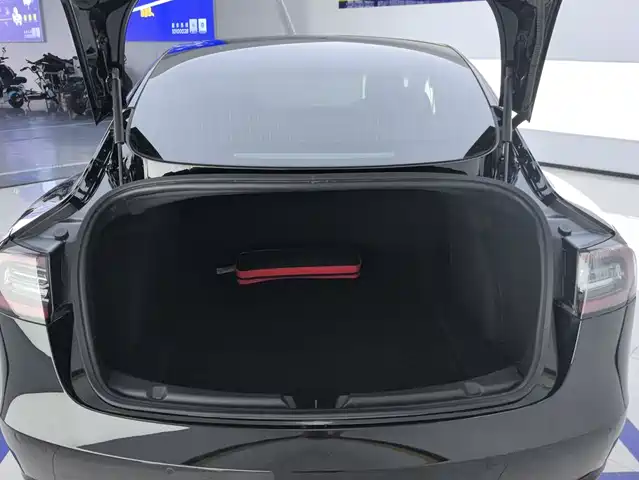 Tesla Model 3 2019 Standard Range Rear-Wheel Drive Upgrade — фото 4