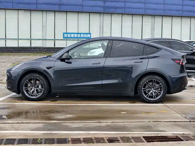 Tesla Model Y 2024 Rear-Wheel Drive Version — фото 3