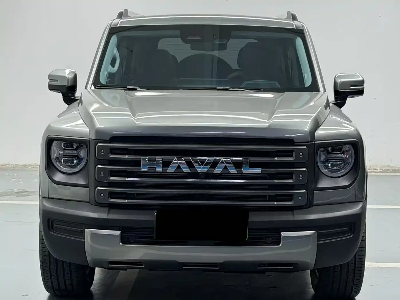 HAVAL RAPTORS NEW ENERGY