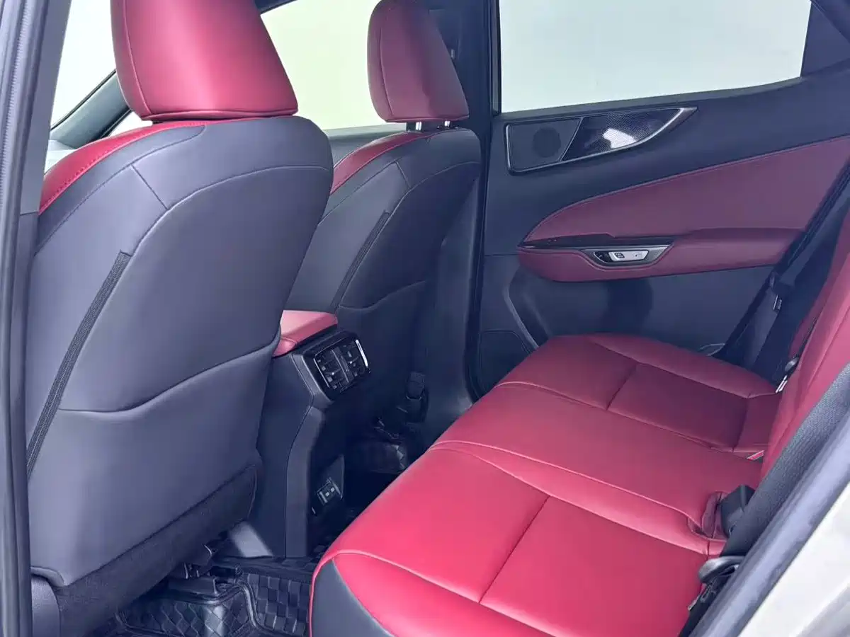 Lexus NX 2024 2023 260 FWD Joy Creation Edition