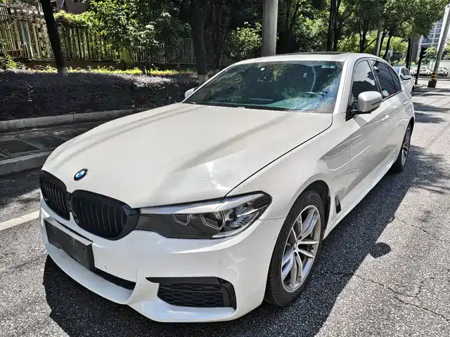 BMW 5 Series 2019