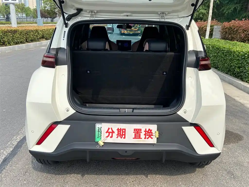 BYD Seagull 2023 Freedom Edition фото 14