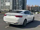 Фото 4 - Geely Borui