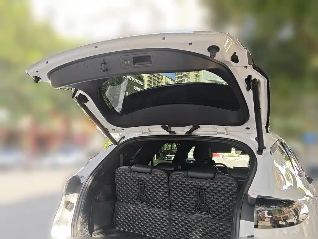 Denza X 2020 2020 Model PHEV Flagship Edition