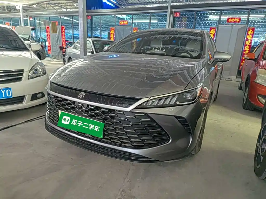 BYD Qin PLUS 2025 DM-i Smart Drive 55KM Leader