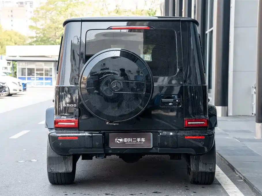 Mercedes-Benz G-Class 2020 G 500 Dark Night Special Edition фото 6