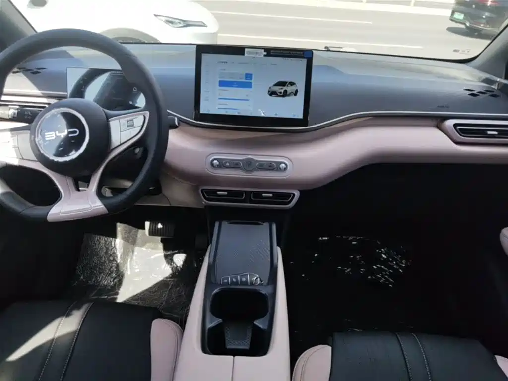 BYD Seagull 2025 Smart Drive Edition 305km Vitality Version фото 13