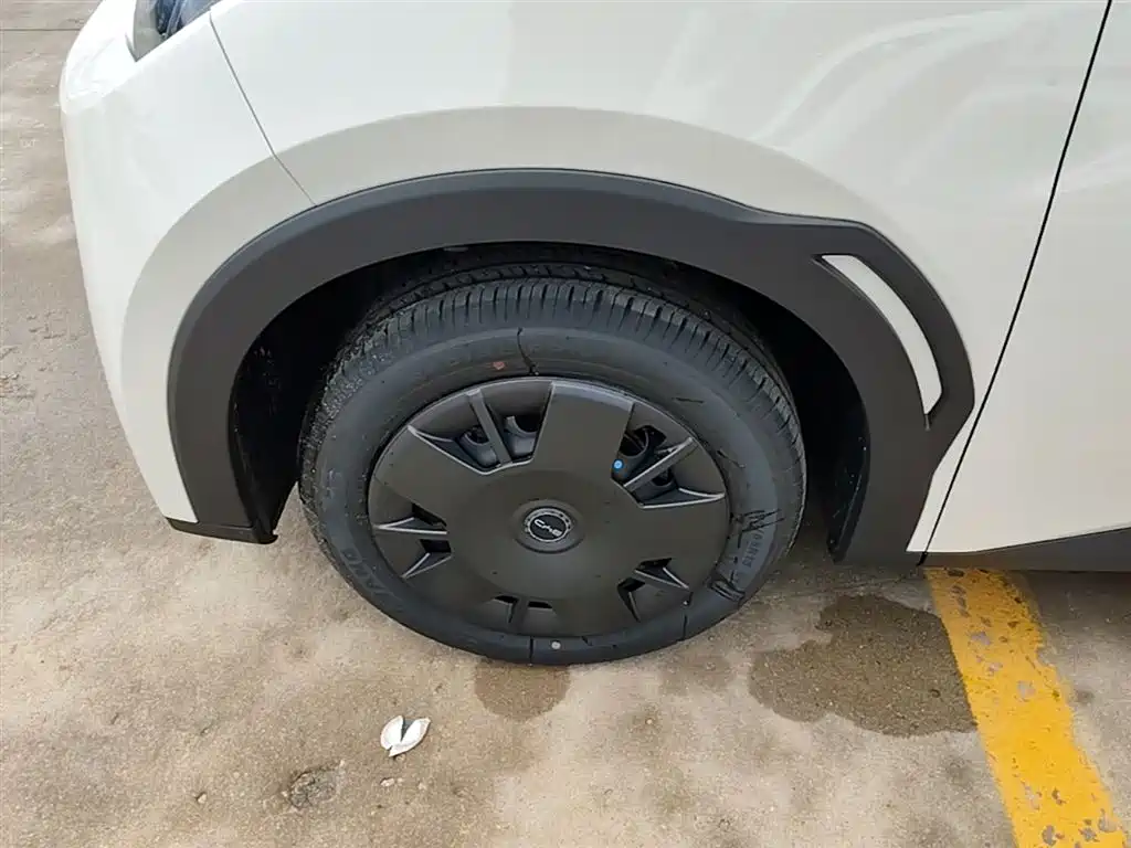BYD Seagull 2025 Smart Drive Edition 305km Vitality Version фото 23