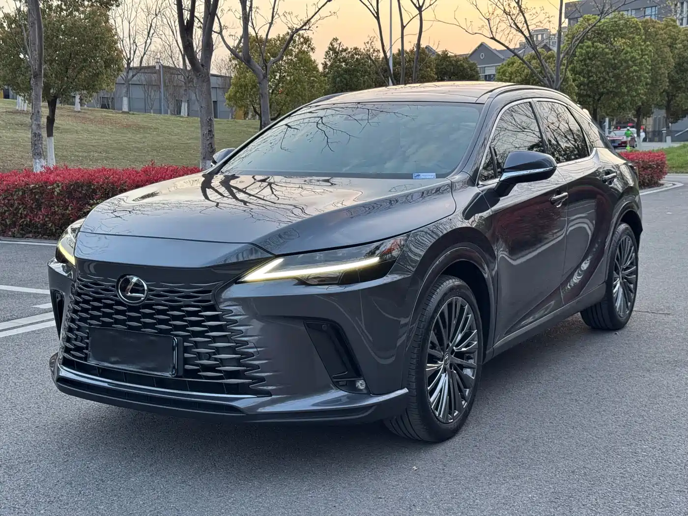 LEXUS RX