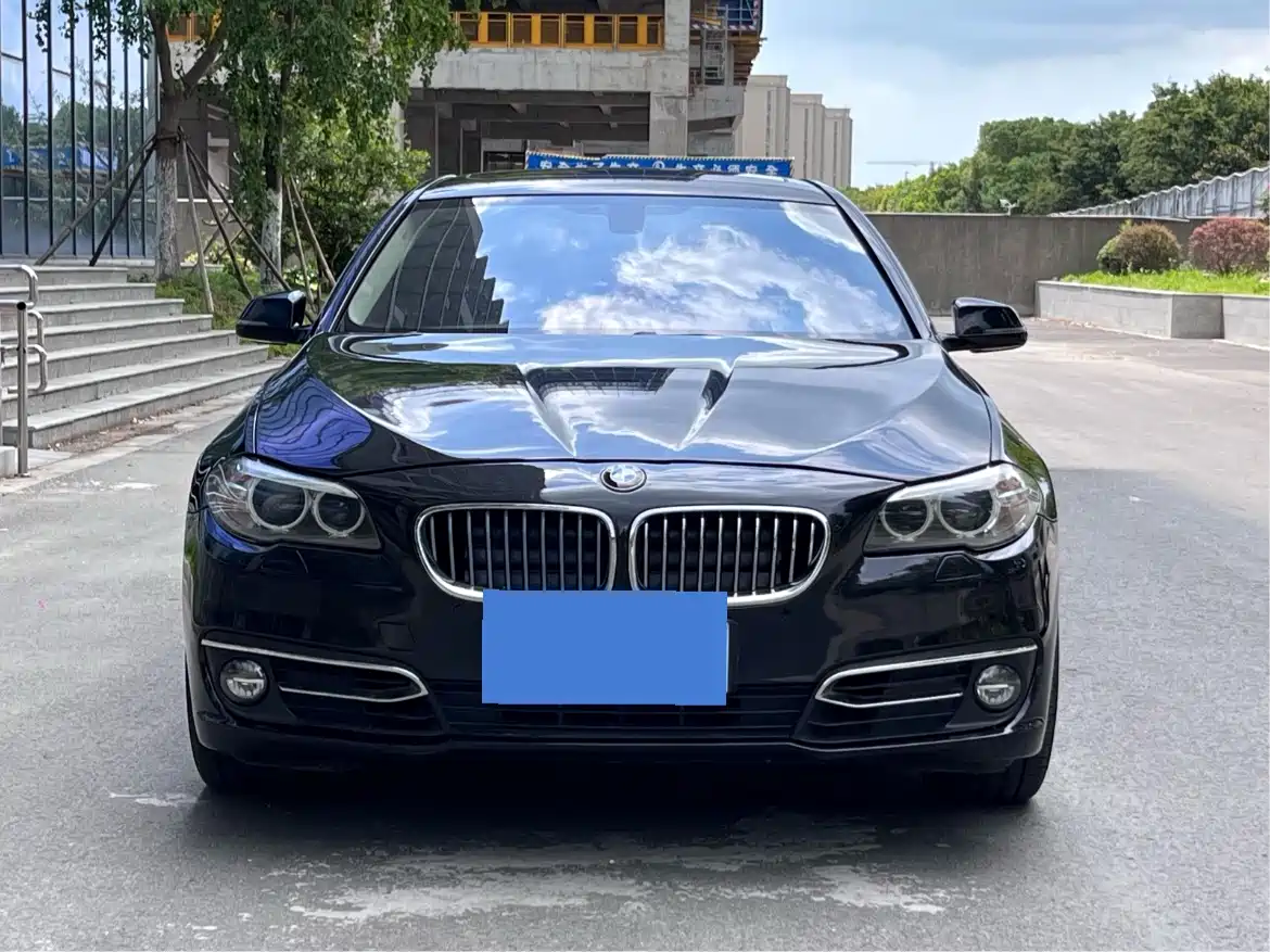 BMW 5 Series 2014 525Li Luxury Design Package фото 2