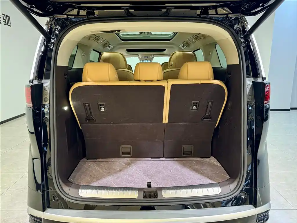 Denza D9 2024 DM-i 980 AWD Prestige фото 24