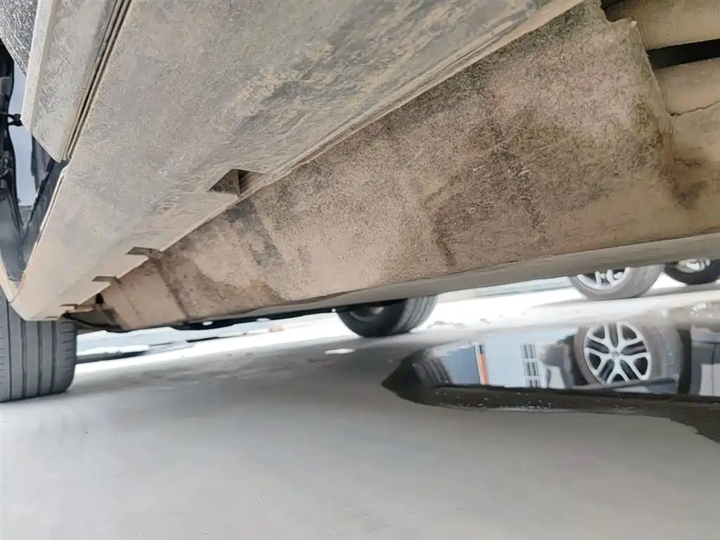 BYD Tang New Energy 2022 EV 730KM Premium фото 21