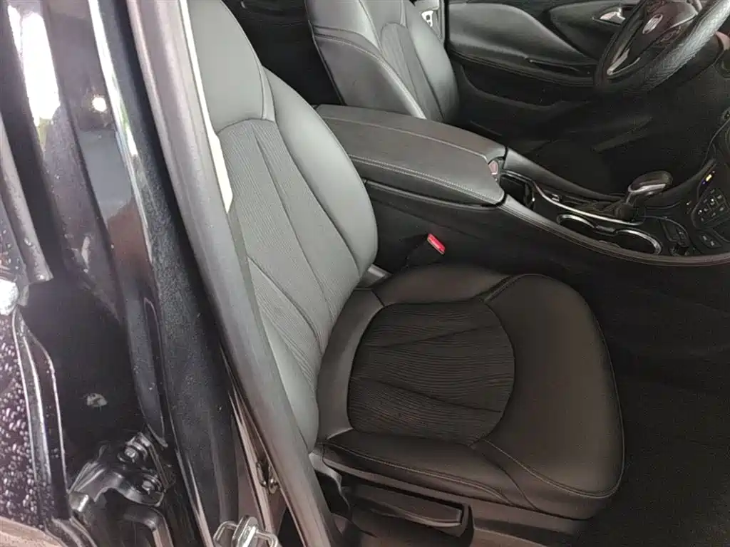 Buick Envision Plus 2017 20T FWD Premium фото 25