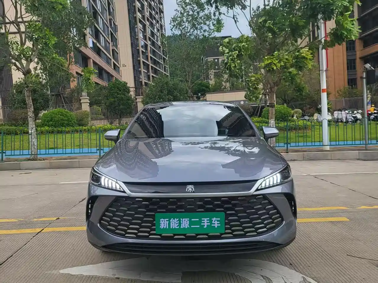 Фото 2 - BYD Qin PLUS