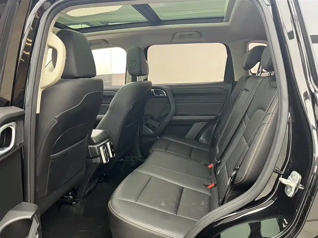 Haval Big Dog 2024 2.0T DCT Chinese Rural Dog Edition фото 9