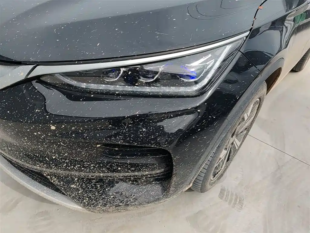 BYD Tang New Energy 2022 EV 730KM Premium фото 18
