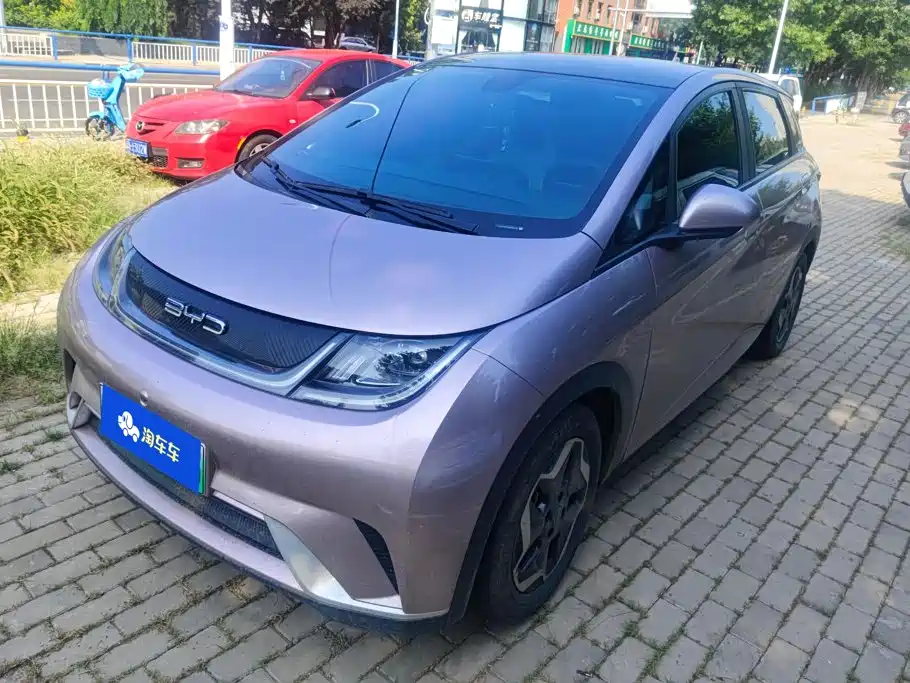 BYD Dolphin 2021
