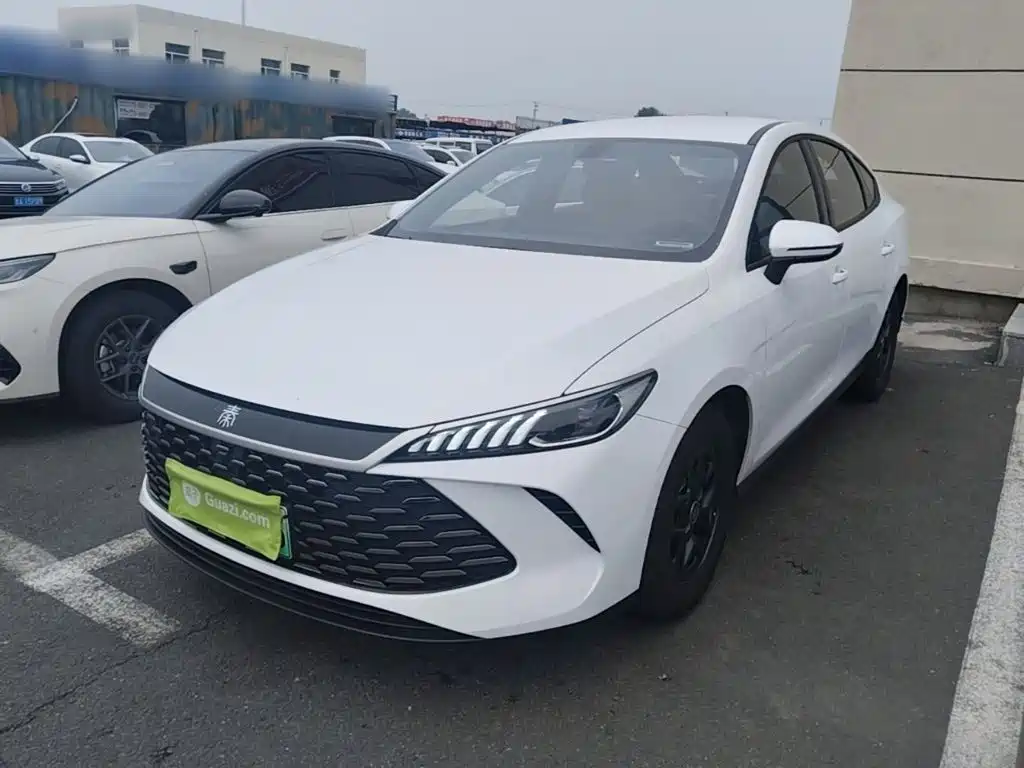 BYD Qin PLUS 2025 DM-i Smart Drive 55KM Leader