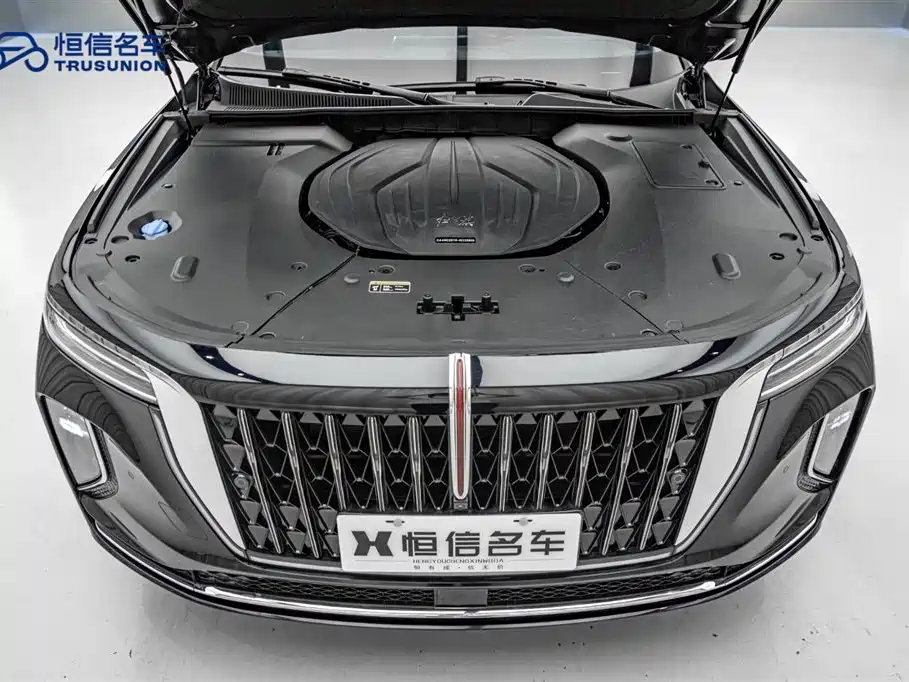 Hongqi H9 2024 2.0T Qi Enjoy Luxury Business Edition фото 21