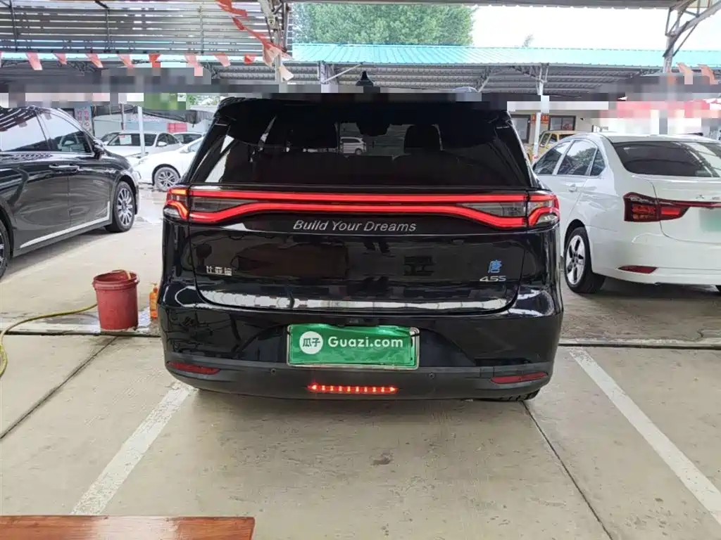 BYD Tang New Energy 2018 DM 2.0T AWD Intelligent Pioneer 7-Seater China V фото 6
