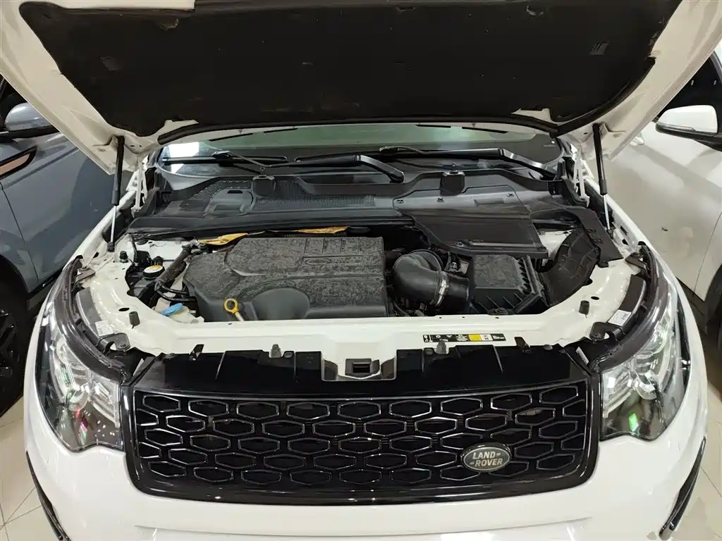 Land Rover Discovery Sport 2019 240PS SE Dynamic Edition China V фото 20